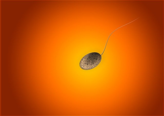 penyebab-pria-tidak-bisa-punya-anak - cek sperma