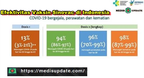 efektivitas vaksin sinovac di indonesia
