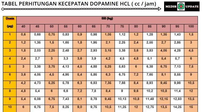 Dosis Dopamin syringe pump
